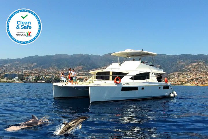 VipDolphins Luxury Whale Watching image