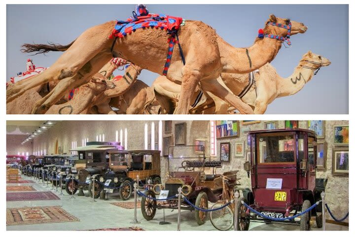 (Private Combo Tour) Sheikh Faisal Museum And Camel Race Track  image