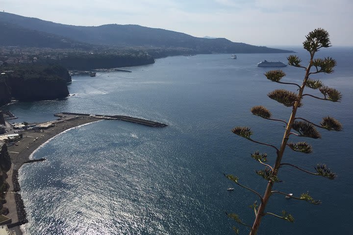 Full-Day Private Sorrento & Amalfi Coast Tour from Positano image