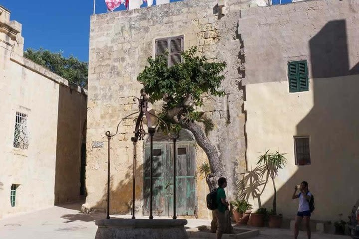 Mdina the silent city tour (With pick-up and drop off included) image