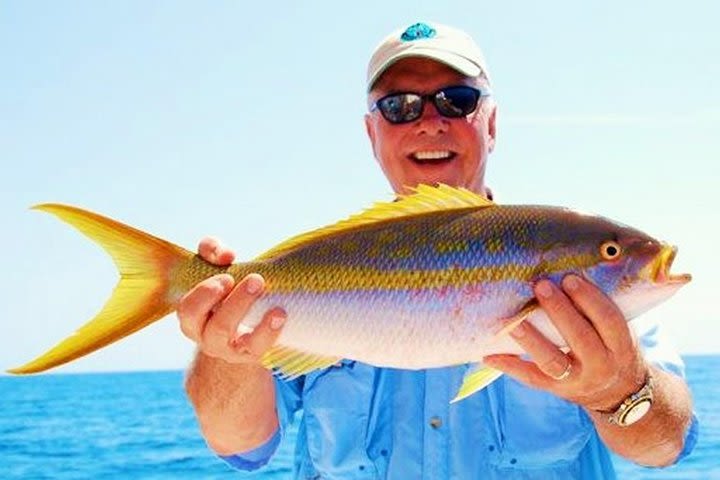 Marathon Reef Fishing Charters image