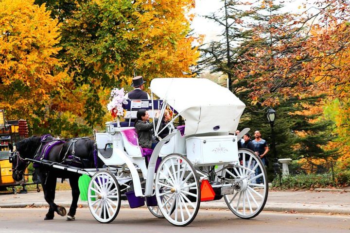 Standard Central Park Horse Carriage Ride (Long Loop - 45 Minutes) image