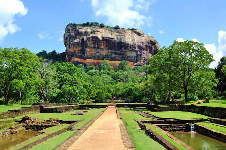 Minneriya Elephant Safari wth Sigiriya & Dambulla Cave Temples Full Day Tour image