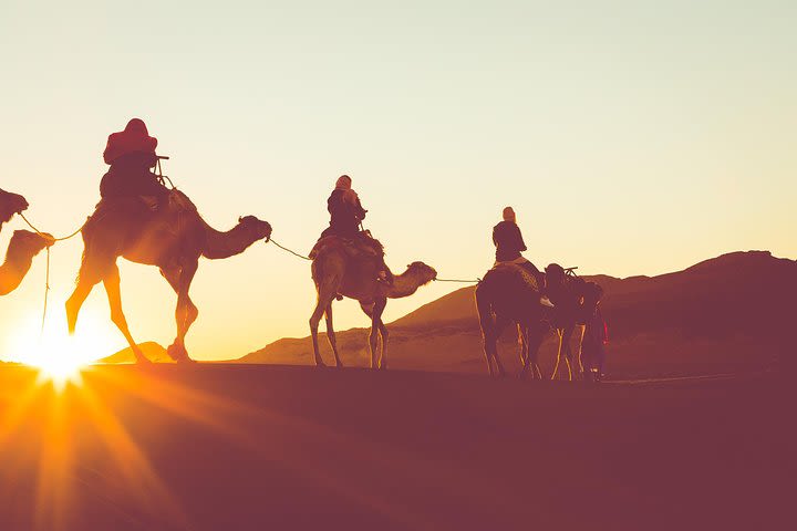 Sunset or Sunrise Camel ride in the Sahara Desert of Douz image