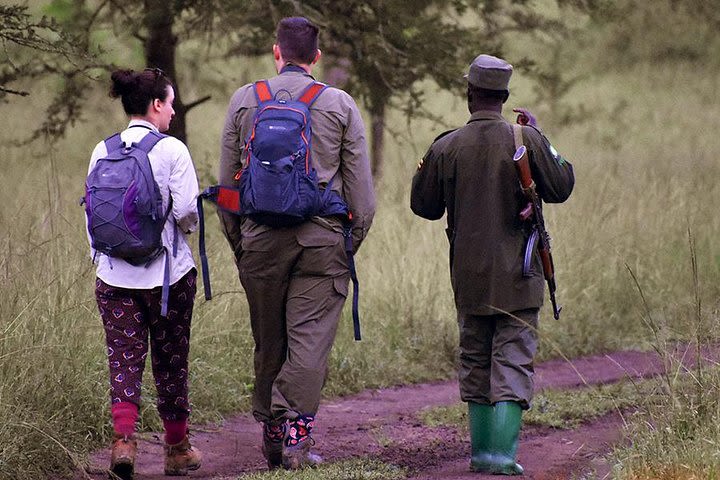 10 days Uganda Gorillas and Game safari image