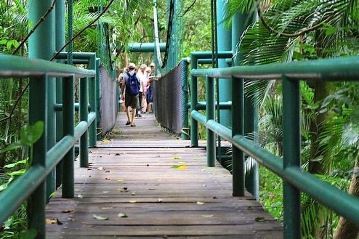 Half-Day Villahermosa Tour with La Venta Museum image