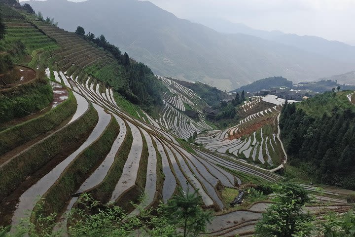  Longji Rice Terraces Day Tour with the Ping'an and Dazhai Village image