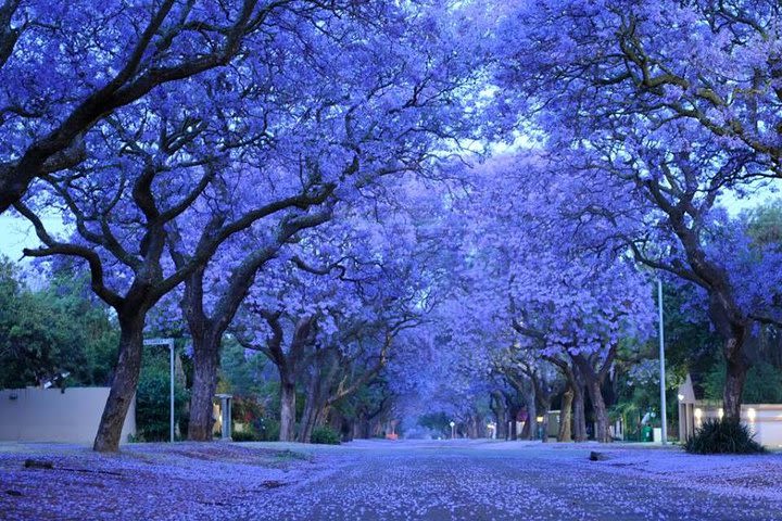 Pretoria Capital City Tour from Pretoria, every TUESDAY image