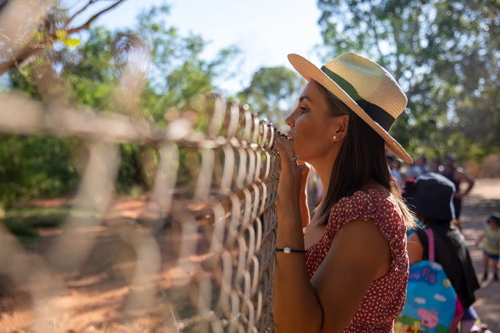 Malcolm Douglas Crocodile Park Tour Including Transportation image