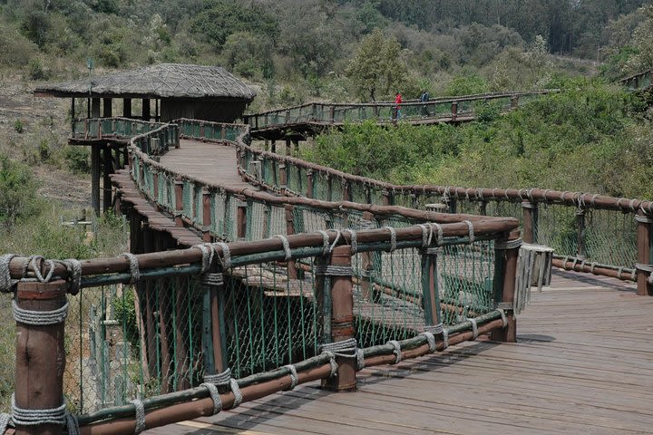 Day tour to Giraffe center elephant trust and Nairobi safari walk image