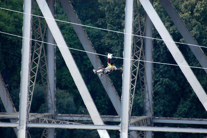 Flying Fox image