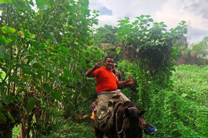 Guided Tour with Horseback Riding and Bioluminescence in Puerto Escondido image