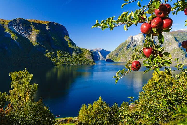 Private day tour to Oslo - incl Premium Sognefjord Cruise and Flåm Railway image