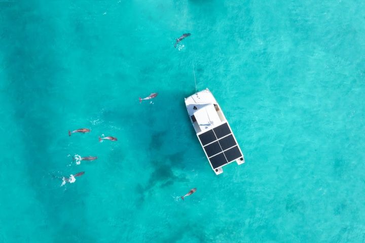 Florida Keys Half-Day Tours Full of Adventure image