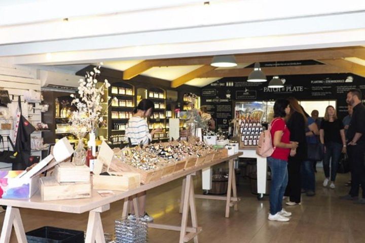 From Adelaide: Discover Adelaide Hills, Hahndorf & Mount Lofty image