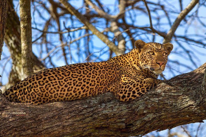 1-Day Tour to Ngorongoro Crater image