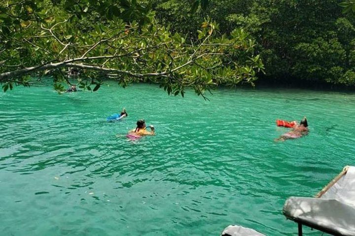 Garifuna Village plus Daniel Johnson Monkey and Sloth and Mangrove Tunnel Tour. image