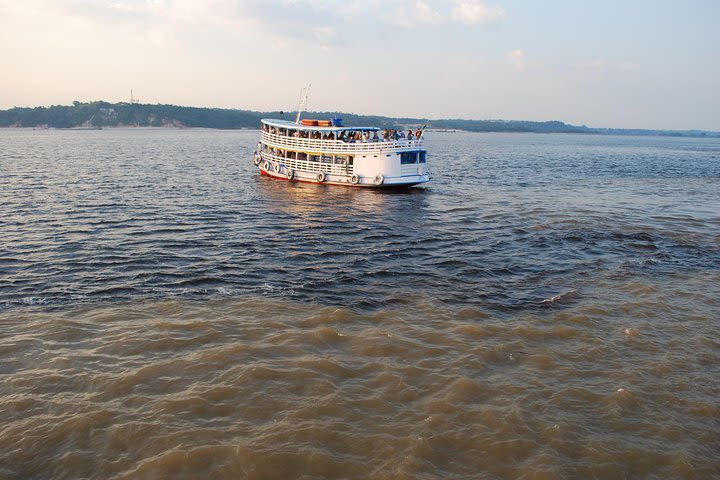 Rio Negro Cruise from Manaus to the Amazon River image