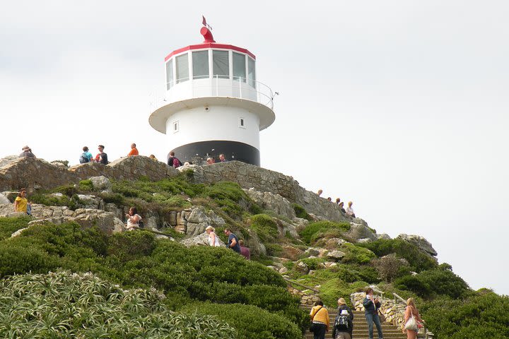 Cape of Good Hope Peninsula & Boulders Beach Penguins Private Tour image