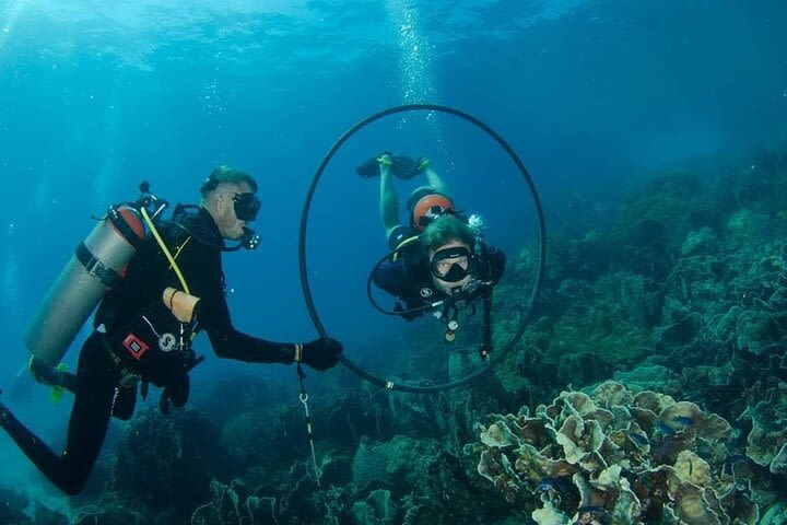 Padi Advanced open Water Diver Courses (Start at Koh Chang) image