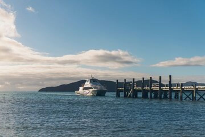 3 Hour Marlborough Sounds Delivery Cruise image