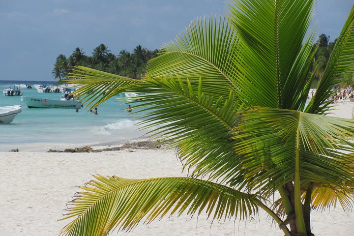 Quetzal Catamaran Cruise Prestige to Saona Island image