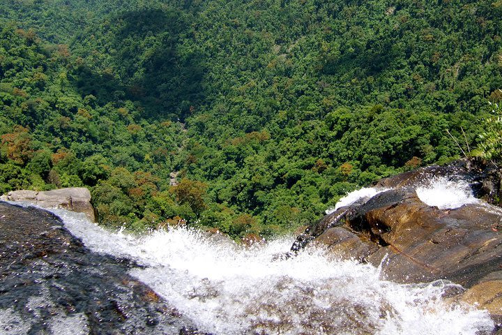 Private Day Trip to Bach Ma National Park from Hue image