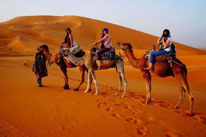 3 Days Desert Group Tour to Marrakech from Fes with Night in Erg Chebbi image