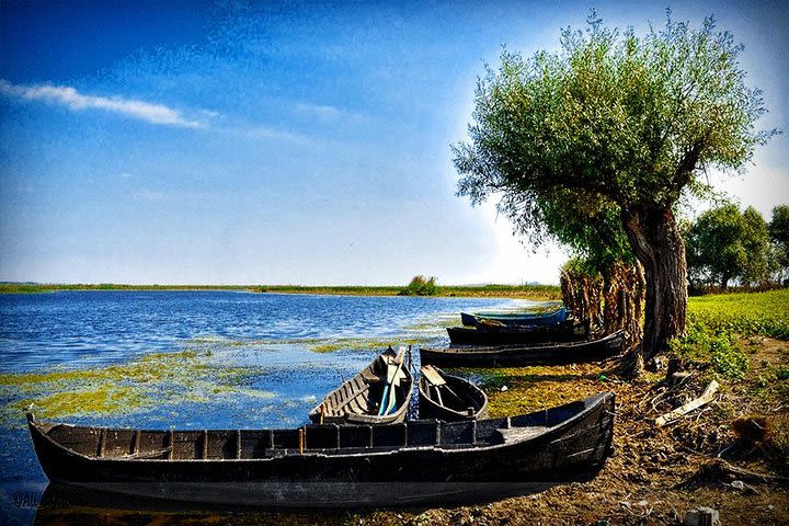 2-Day Private Tour of Danube Delta from Bucharest image