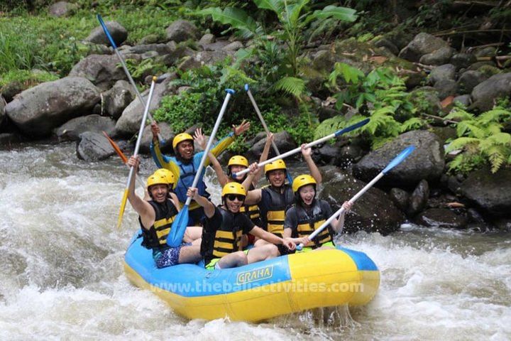 Bali Big Day Out: Ubud Tour + Rafting Adventures image