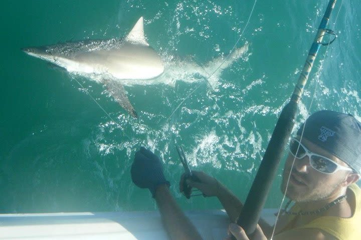 Half-Day Nearshore/Jetty Combo Trip image