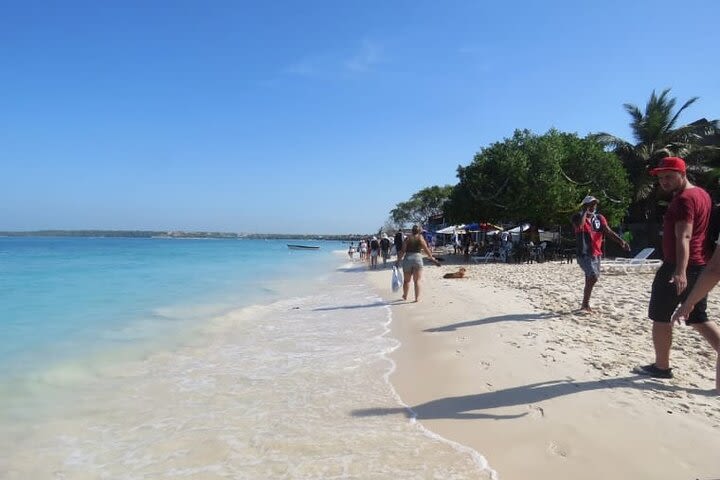 Plankton Tour in Cartagena image