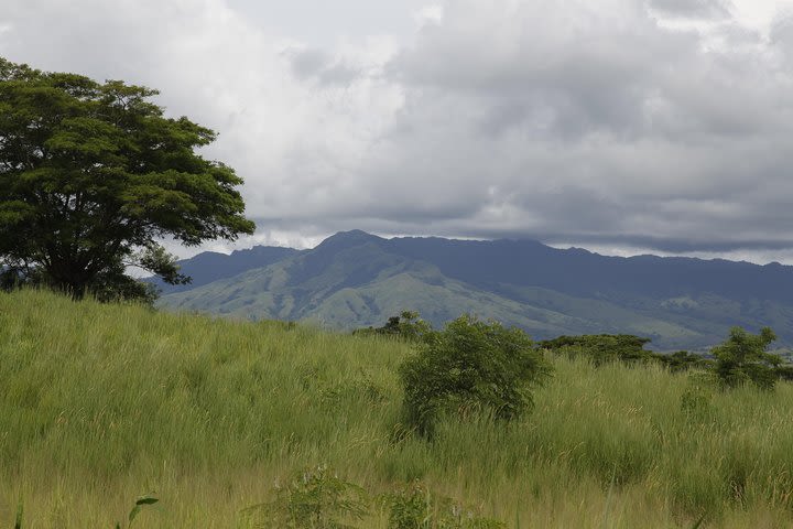 Fijian Village Tour From Nadi image