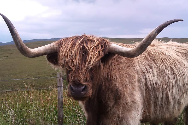 Skye In A Day From Portree Visiting The Most Scenic Spots image