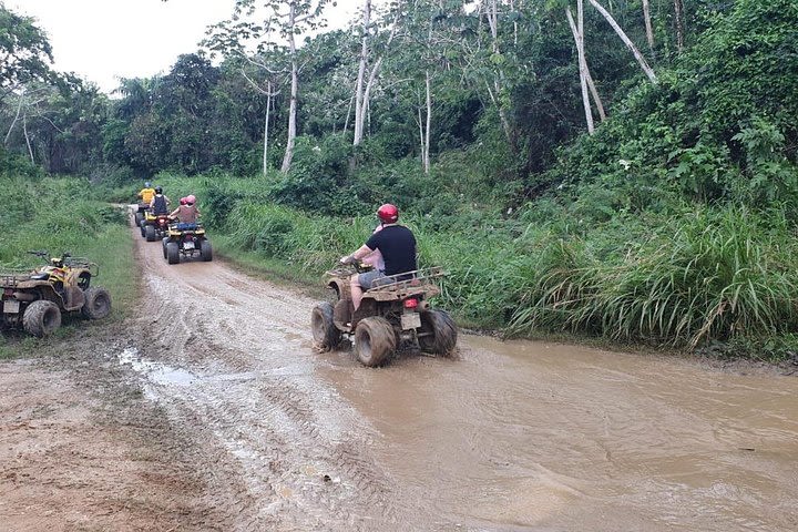 Roatan Off Road ATV Adventure with Island Tour and Sloth Park. image