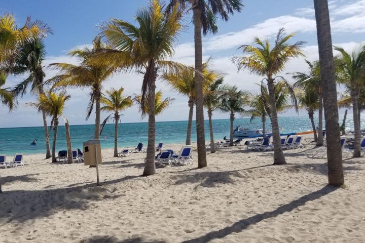 Day Trip to Freeport, Grand Bahama image