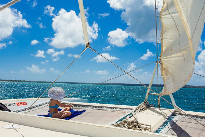 Saona Blue Paradise from Punta Cana image