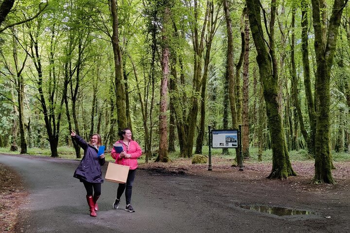 Ballina Treasure Hunt - Self-guided outdoor game in Belleek Woods image