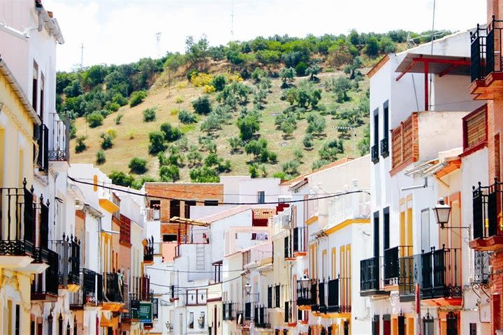 Spend a day in the White Villages from Cadiz image