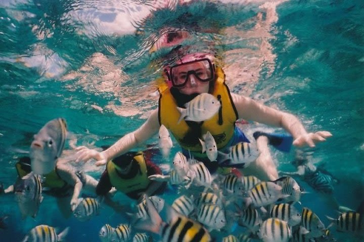 Snorkeling and the Arch in Los Cabos image