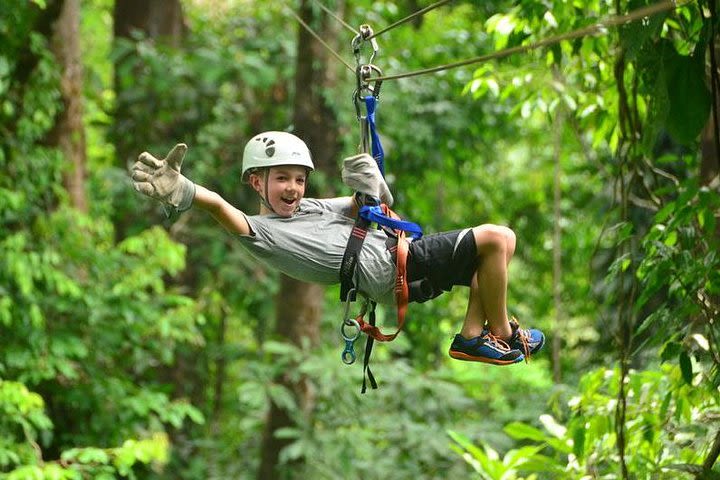 Zipline at Bocawina  image