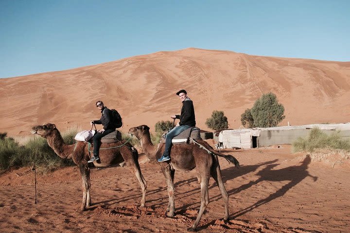 4 Days Trip from Marrakech to the Sahara Desert incl. Hiking in Dades image