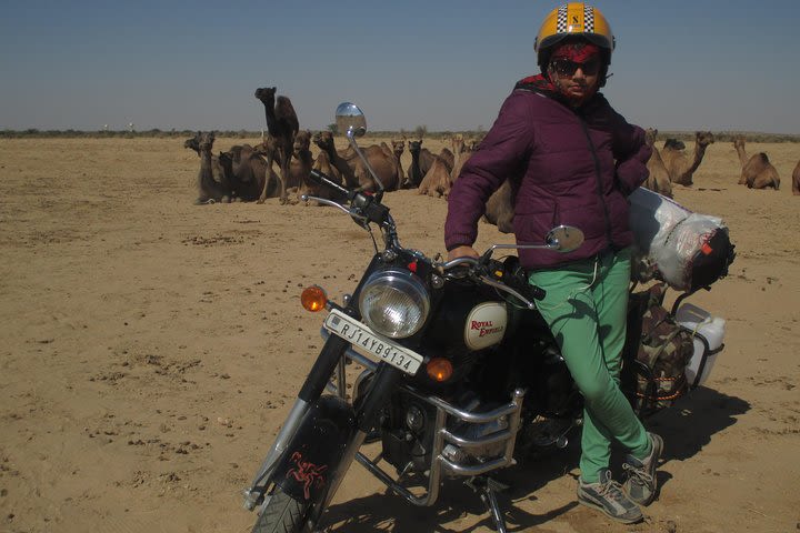 Motorcycle Tour to Royal Land of Rajasthan-India (15 Days) image