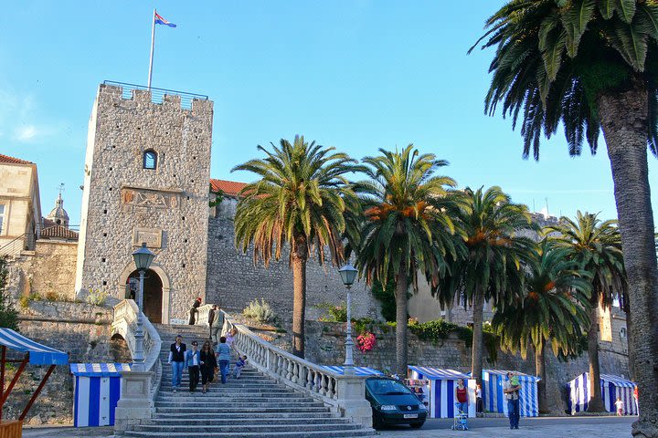 Korcula & Ston - Wine and Oysters Tasting Private Day Tour by Vidokrug image