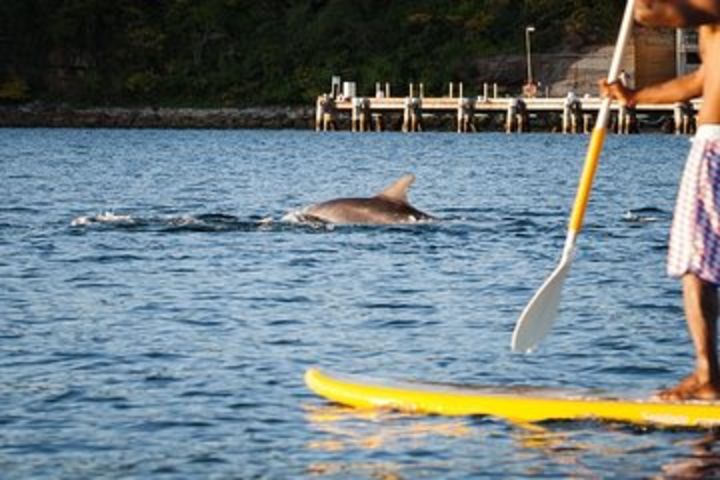 1 Hour Stand Up Paddle Board Rental image