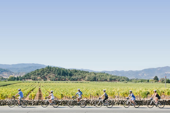 Full-Day Napa Valley Bike Tour image