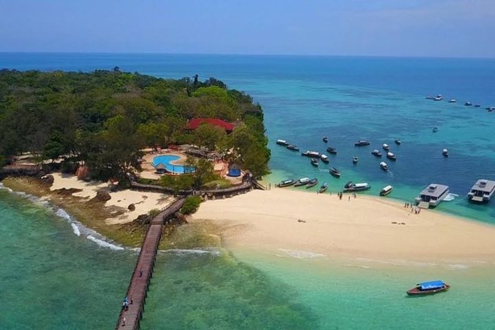 Prison Island & Stone Town Full-Day Tour image