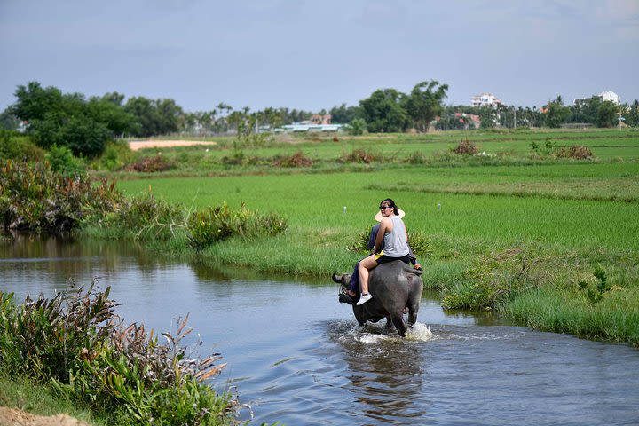 Buffalo Riding, Basket Boat Tour And Cooking Class image