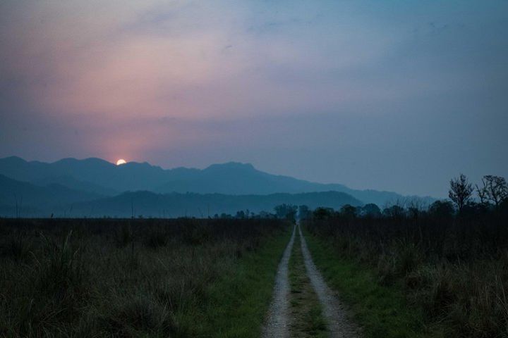 2N Jim Corbett National Park (Dhikala Zone) image