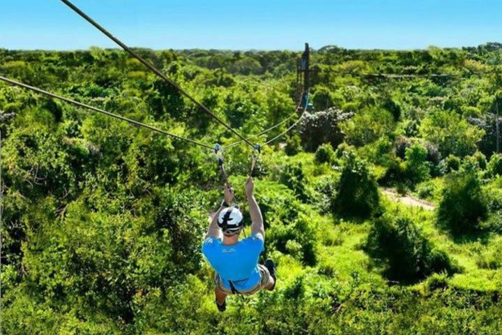 Zipline Adventure image